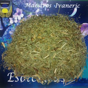 Hierba esotérica cola de caballo