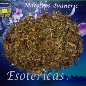 Hierba esotérica diente de león