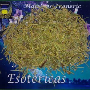 Hierba esotérica romero