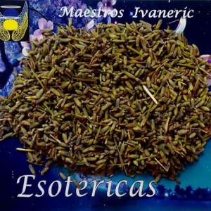 Hierba esotérica flor de espliego (lavanda)