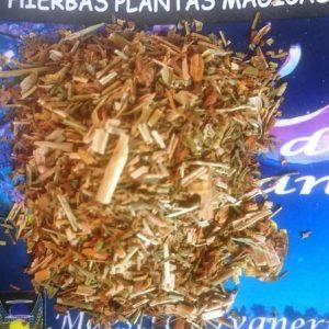 Hierba esotérica San Juan