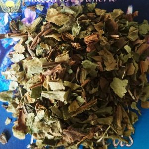 Hierba esotérica pulmonaria