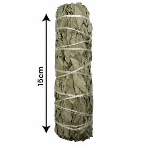 Atado salvia blanca de California 14cm-15cm