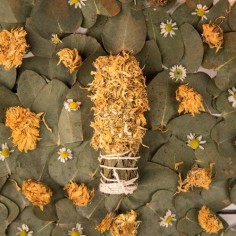Sahumito de caléndula y manzanilla